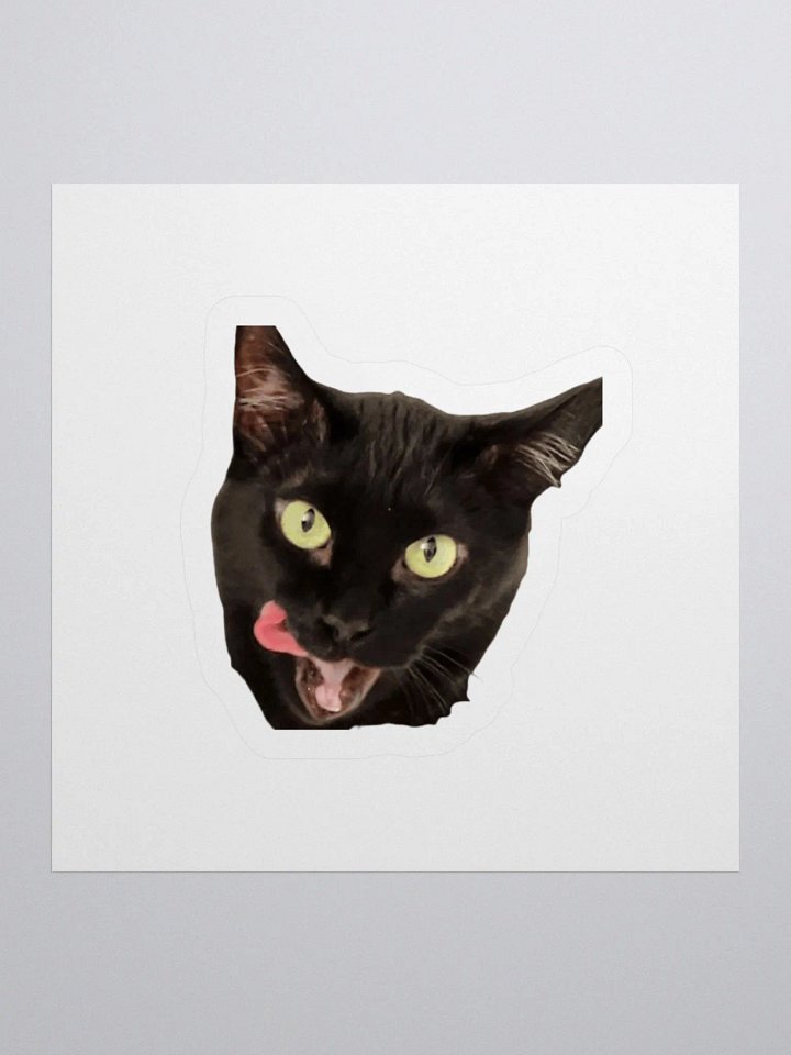 Raven Sticker product image (1)