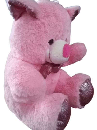 TEDDY BEAR product image (2)