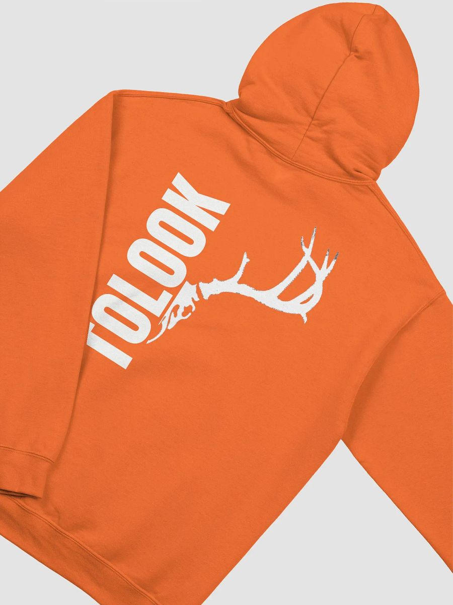 Blazer Orange Hoodie product image (4)