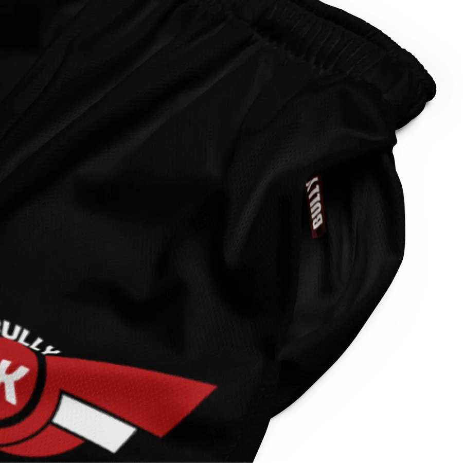 BULLY SHORTS product image (5)