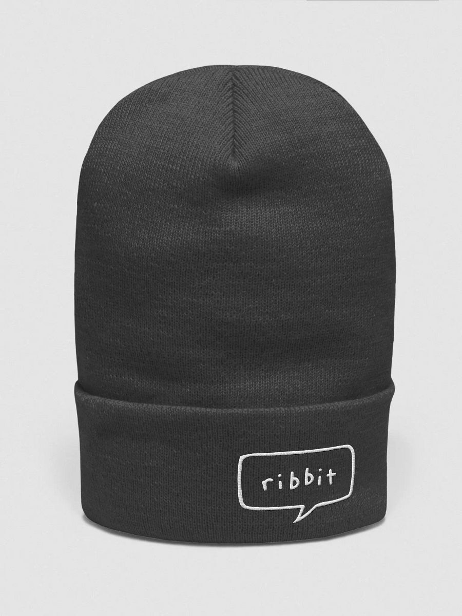 Ribbit Beanie product image (1)