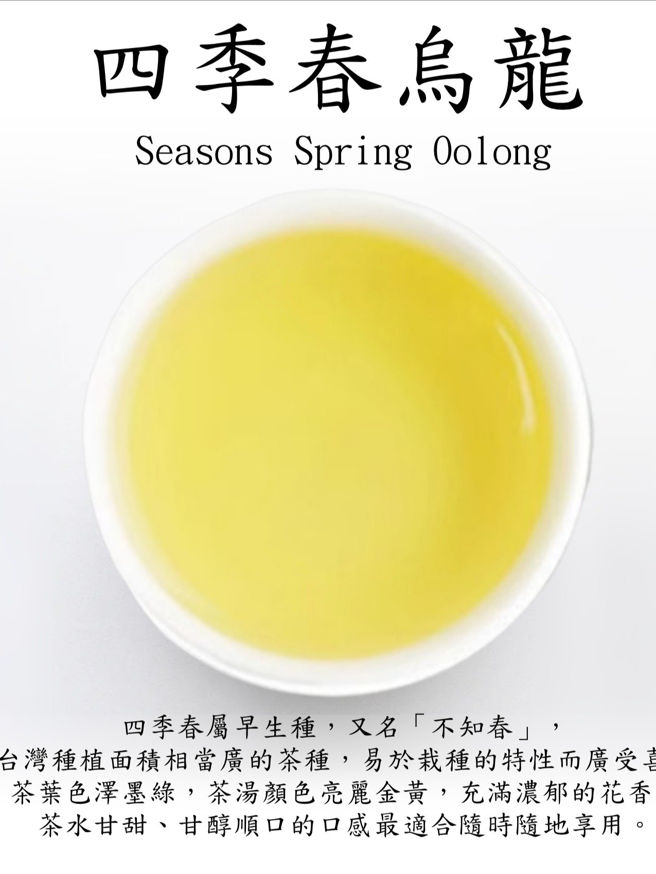【今日茗茶】四季春烏龍 product image (2)