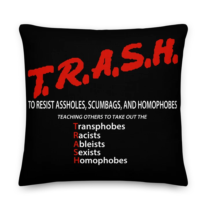 TRASH Pillow product image (1)