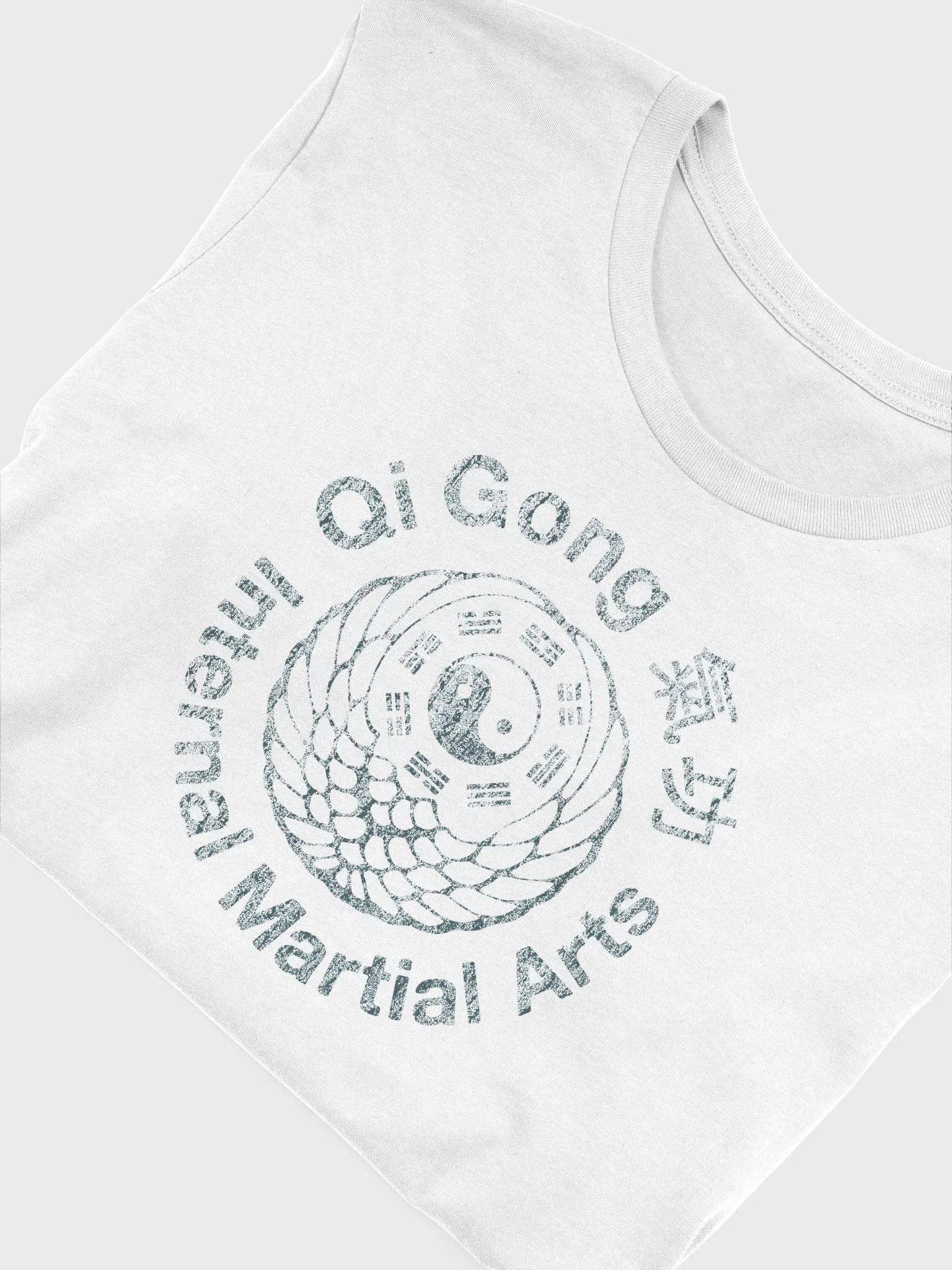 QiGong Internal Martial Arts product image (4)