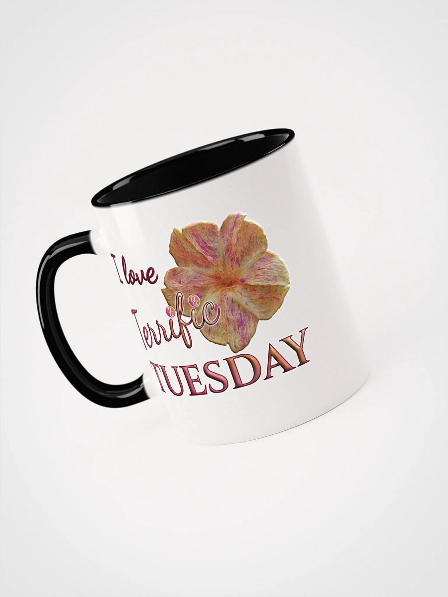 Terrific Tuesday product image (3)
