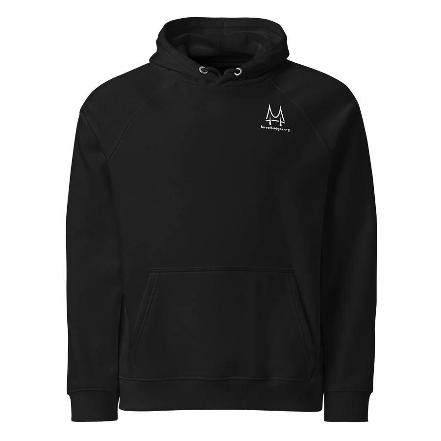 Forest Bridges Fall Colors Hoodies with Greyscale Logo & Emblem on Back product image (15)