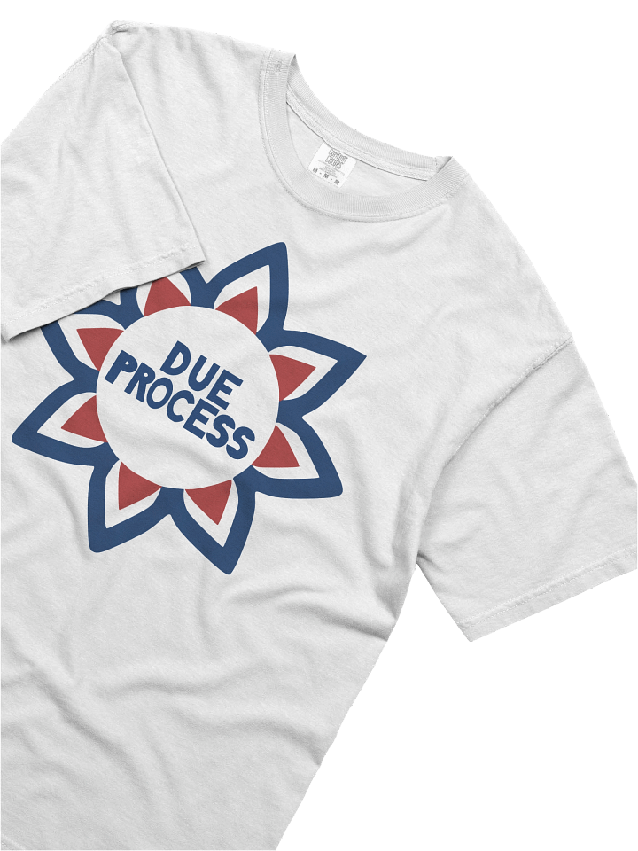Due Process tee product image (2)
