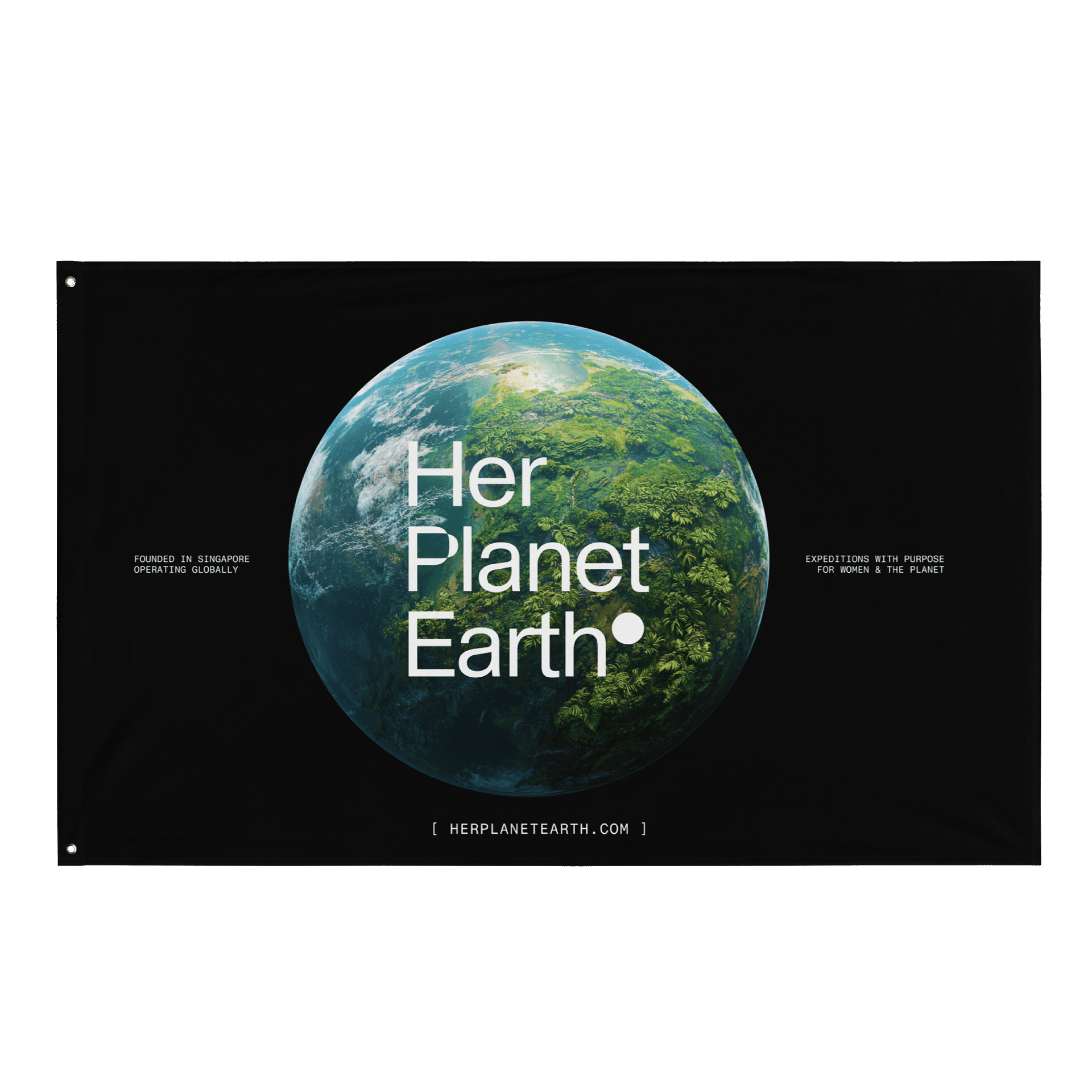 HPE Flag product image (1)