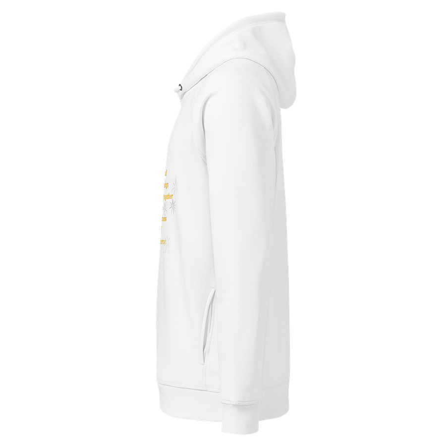 Cosmic Journey Organic Hoodie product image (3)