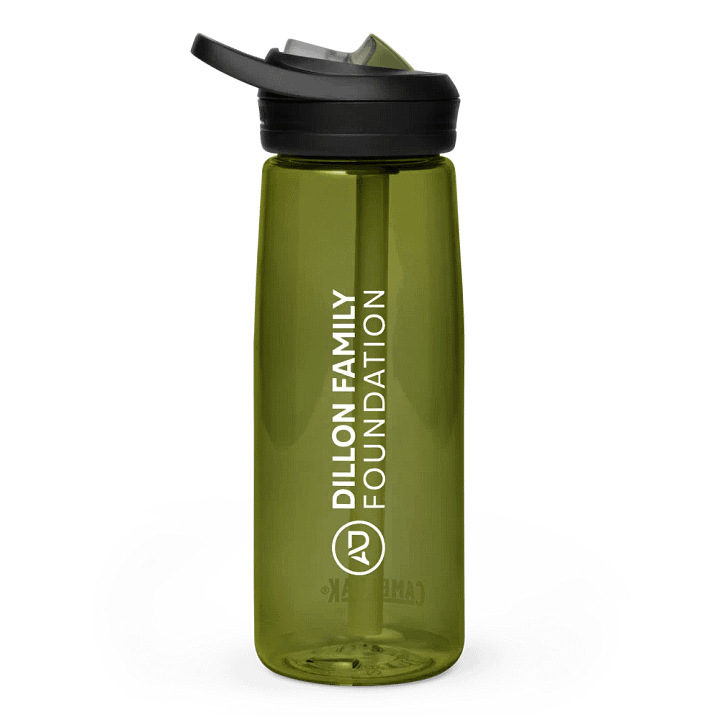 Dillon Family Foundation Water Bottle product image (1)