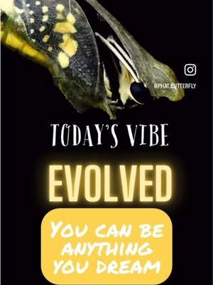 Everybody wants to see the butterfly but not what it took to become the butterfly. 🤦🏾‍♀️ Still I Rise!! 🦋😉🦋 Performance @TheHarlemBombShelter  #singer #coversong #acapella #acapellacover #butterfly 