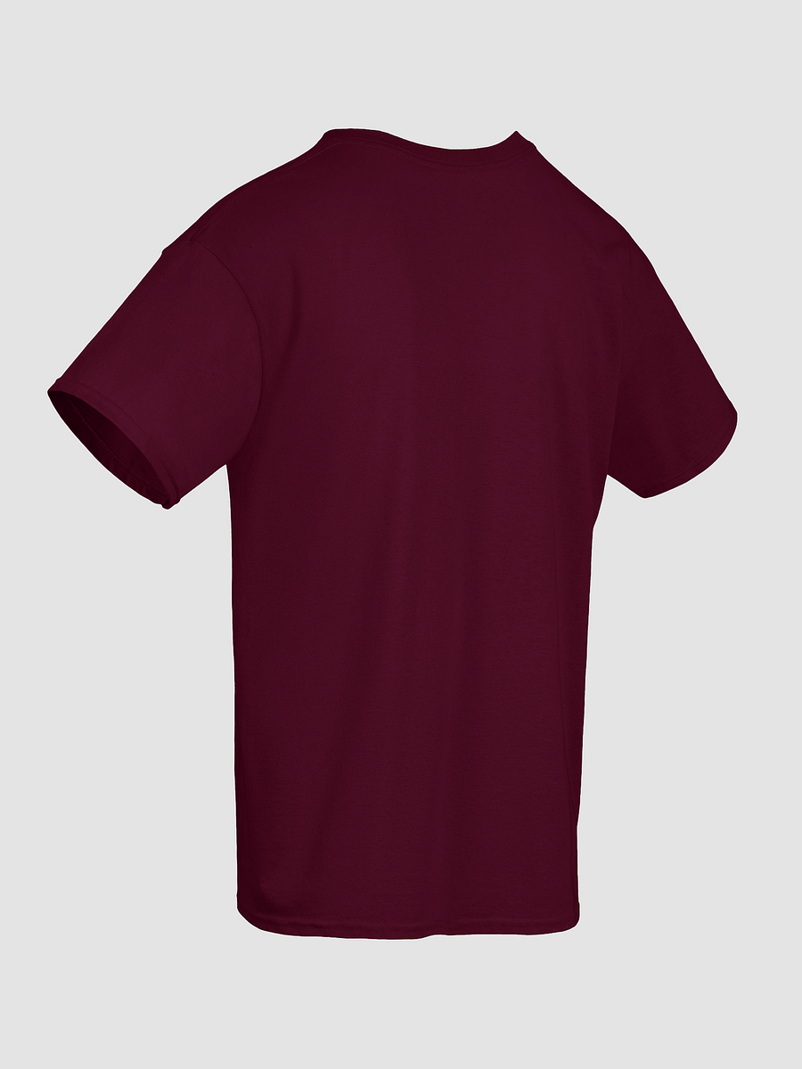 Van Life Dogs Tee - Road Trip Tshirt - Motorhome Pets Shirt product image (10)