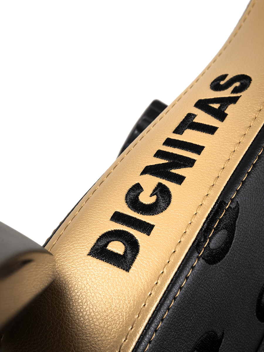 noblechairs Hero Dignitas Edition Gaming Chair product image (6)