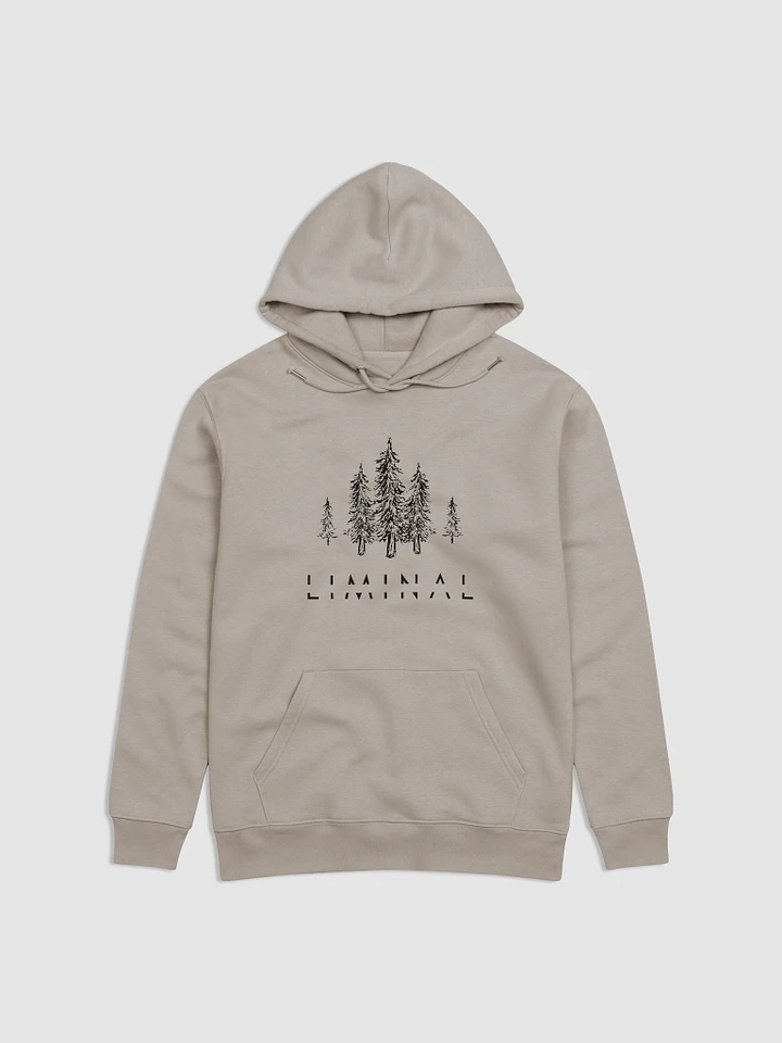 LIMINAL Eco-Friendly Hoodie product image (1)