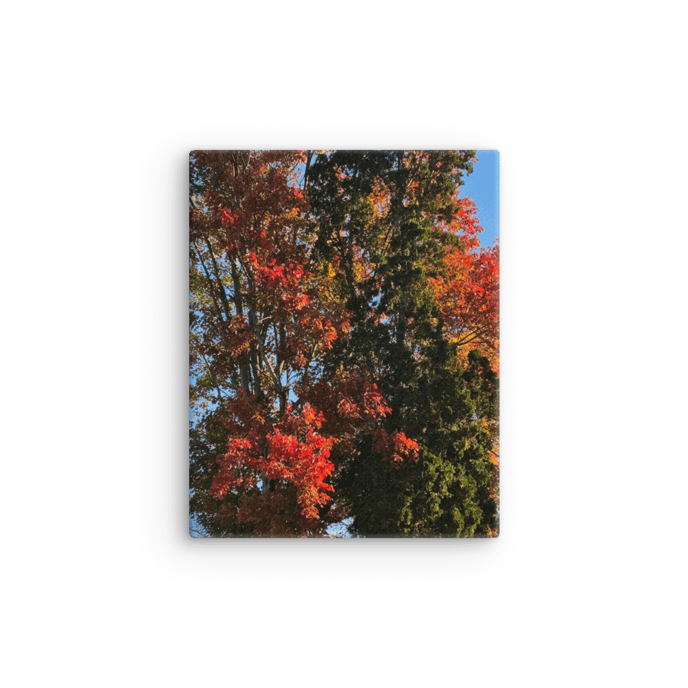 Autumn Harmony Canvas product image (1)