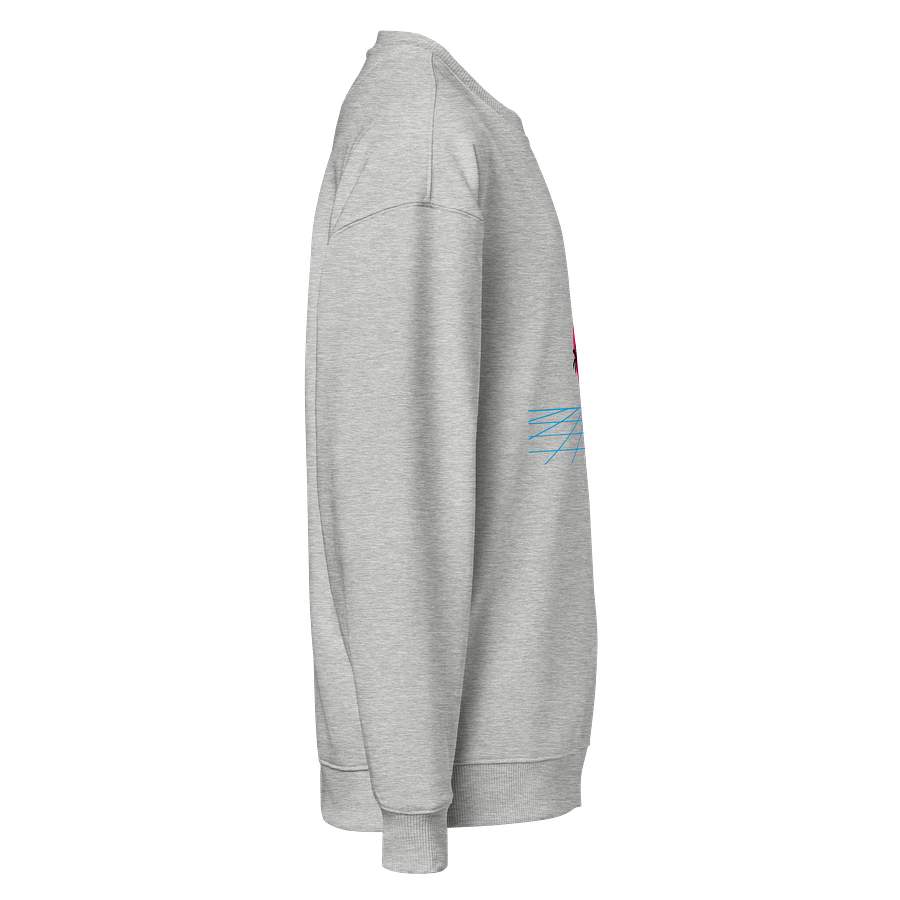 Retro Sunset Grid Organic Sweatshirt product image (4)