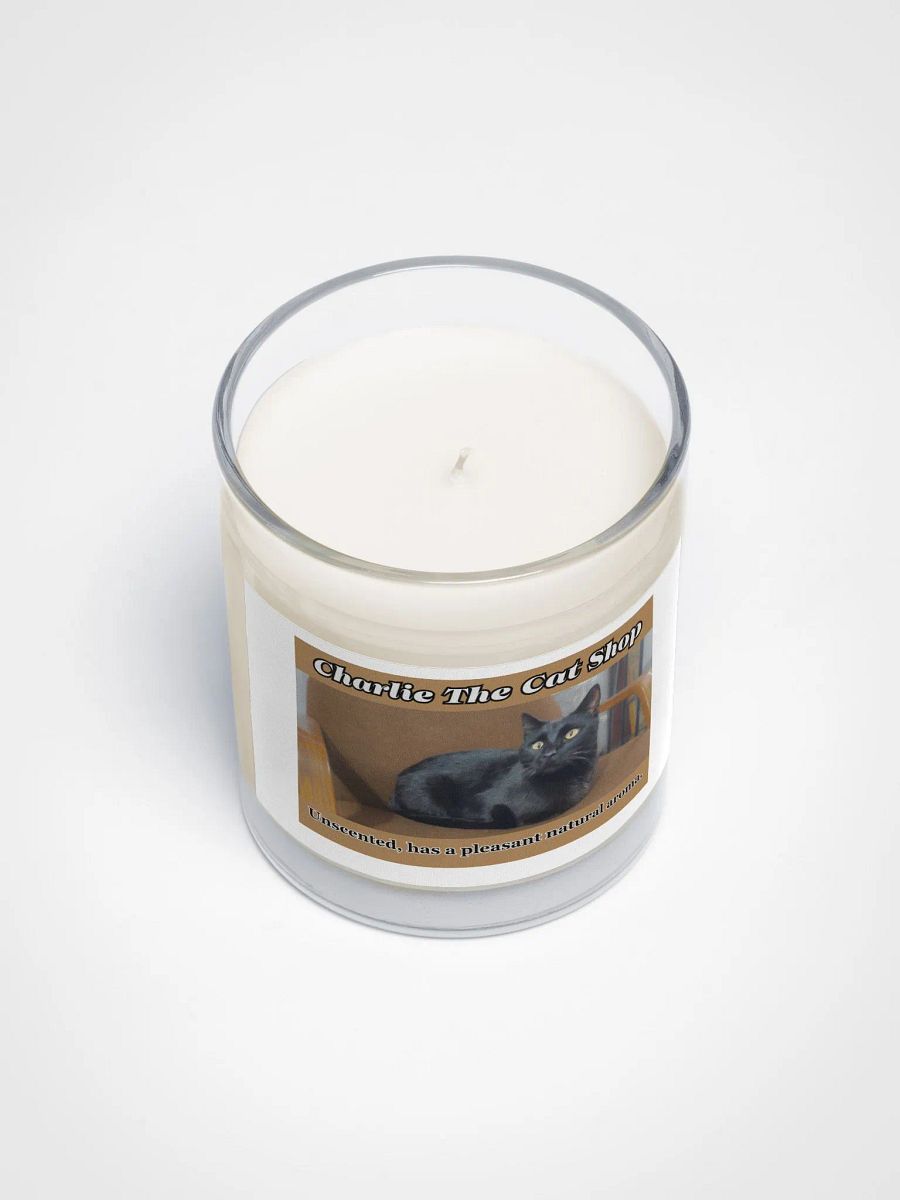 Panther The Cat Soy Wax Candle In A Clear Glass Jar product image (3)