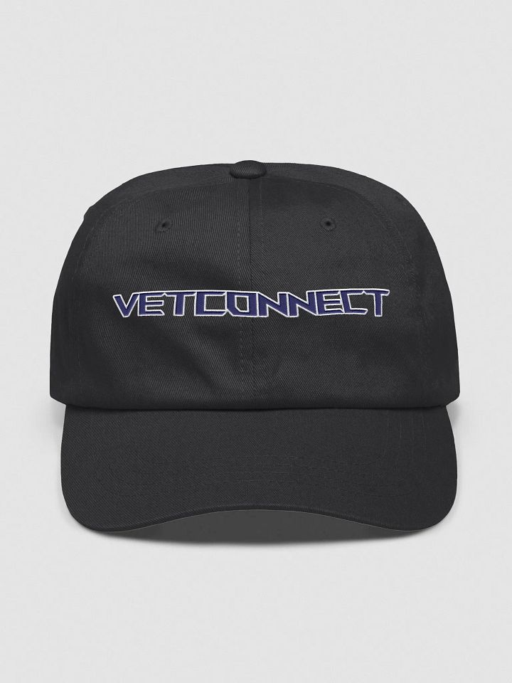 Hat #2 product image (1)