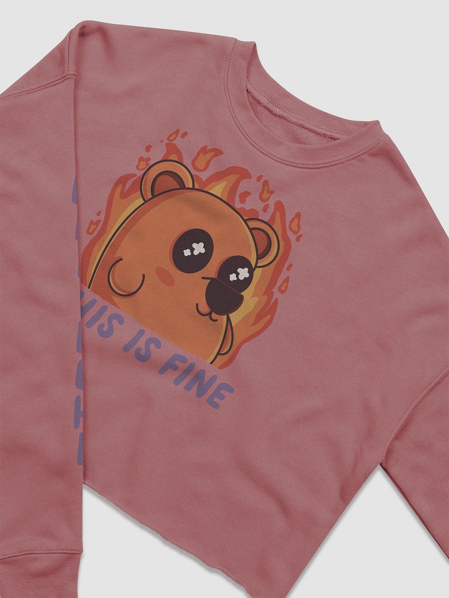 This is Fine Behr Crop Crewneck product image (1)
