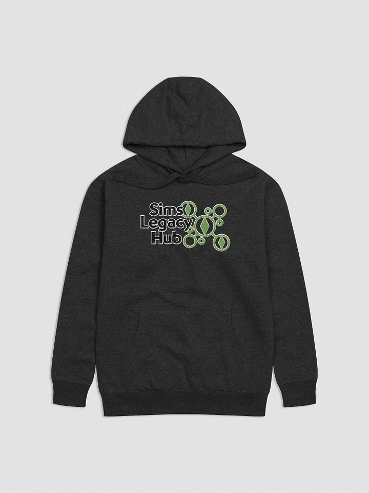 Embroidered Hoodie product image (6)