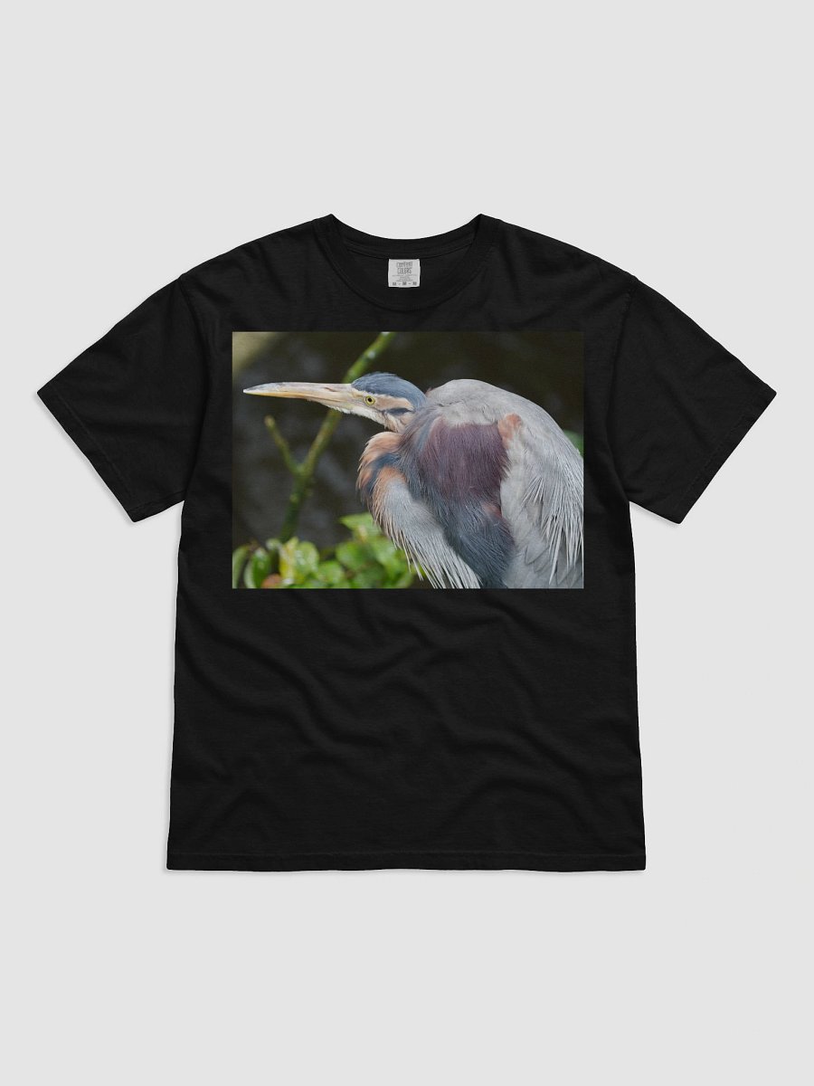 Colorful Plumage Cotton Tee product image (1)