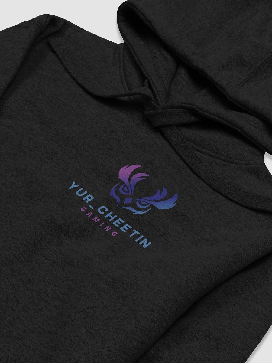 logo hoodie product image (3)