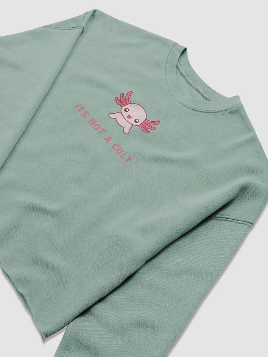 NOT A CULT crop product image (3)