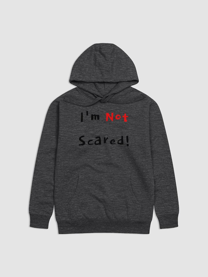 I'm Not Scared Premium Hoodie product image (2)