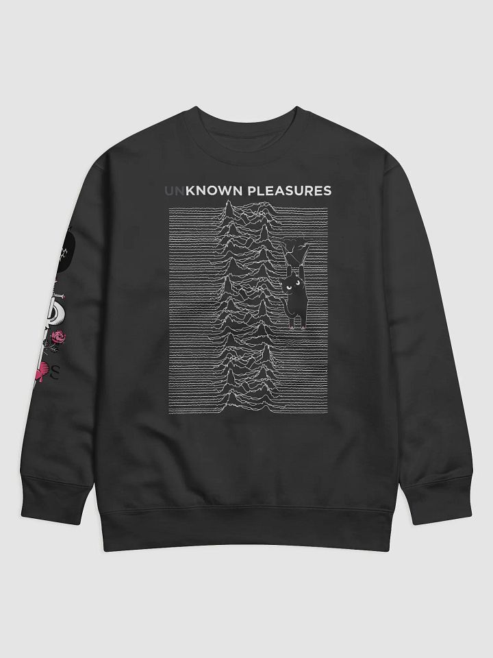 KITTEN'S UNKNOWN PLEASURES product image (1)
