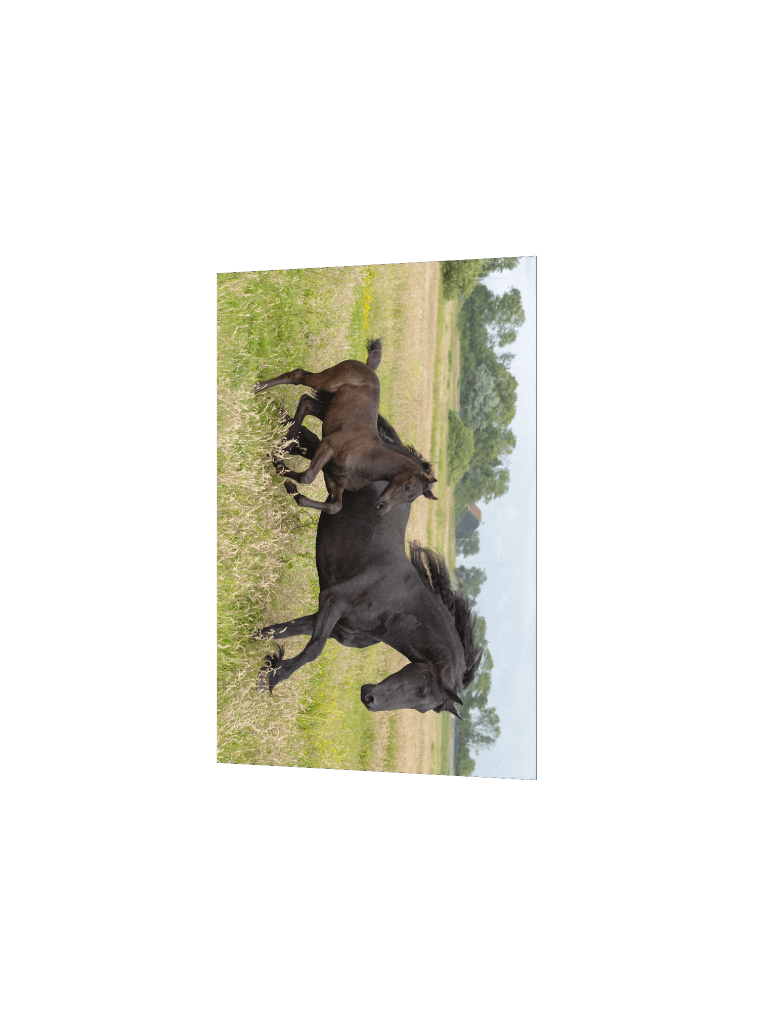 Saly & Elvis running product image (3)