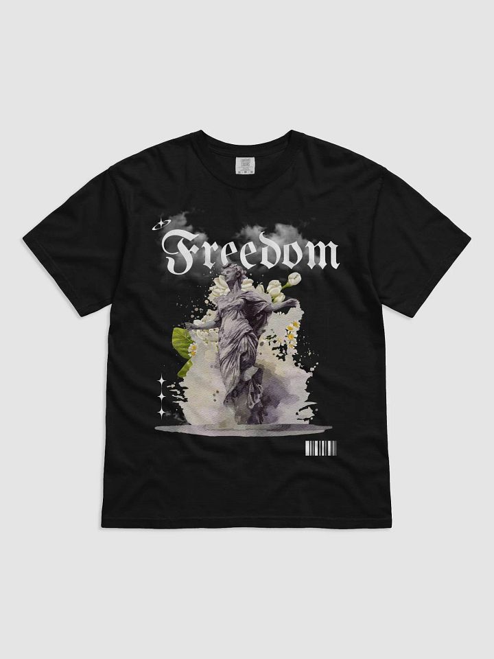 Freedom on the Way - Limited Edition product image (1)