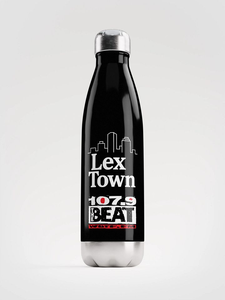 Lex Town Stainless Steel Water Bottle product image (1)