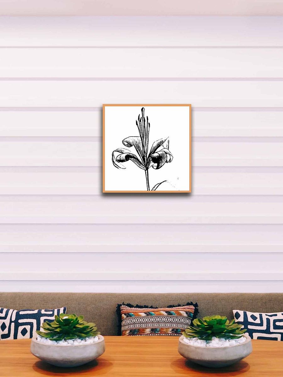 Lily Line Art Canvas Print - Fine Flower Light product image (43)