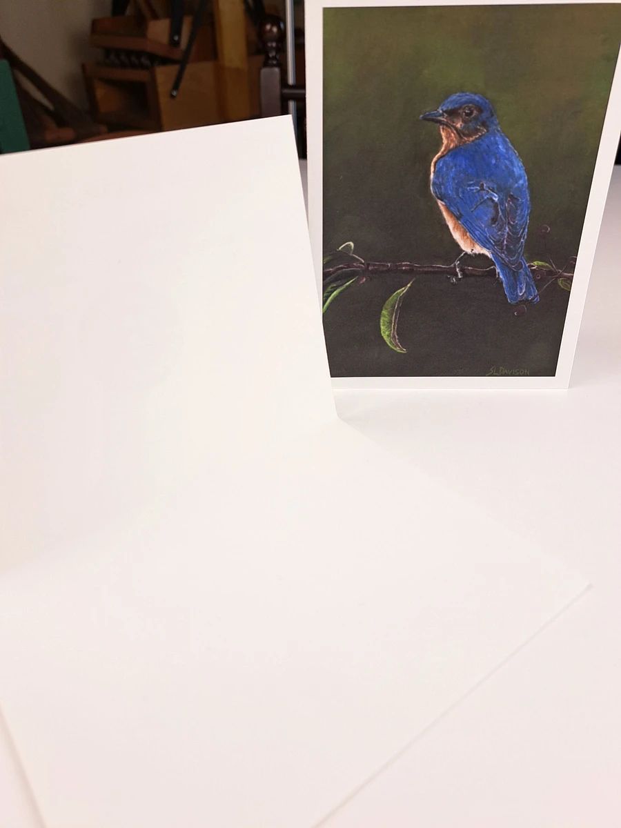 Wildlife Art Greeting Card - Bluebird - Shipping Included product image (5)