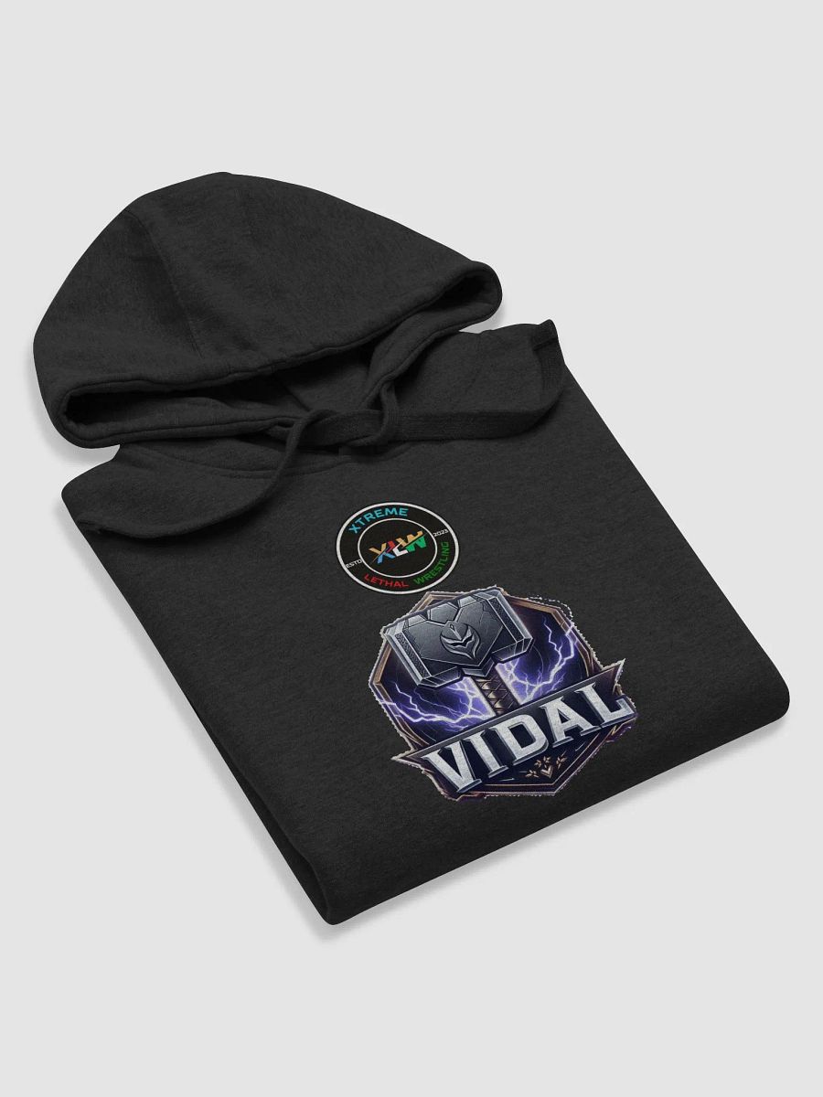 Vidal Hoody product image (20)