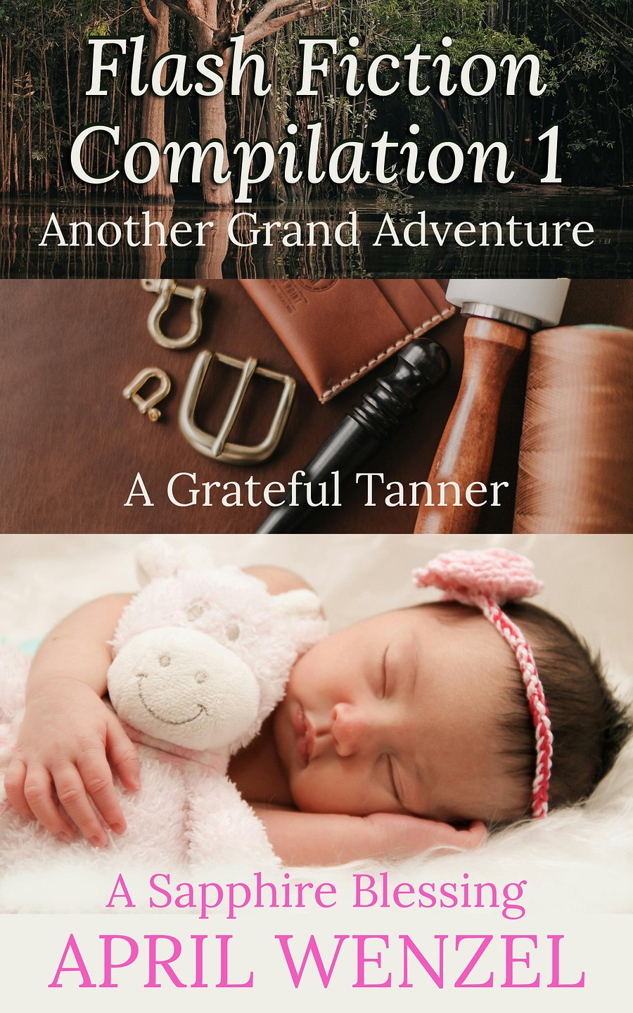 Flash Fiction Compilation 1 (eBook) product image (1)