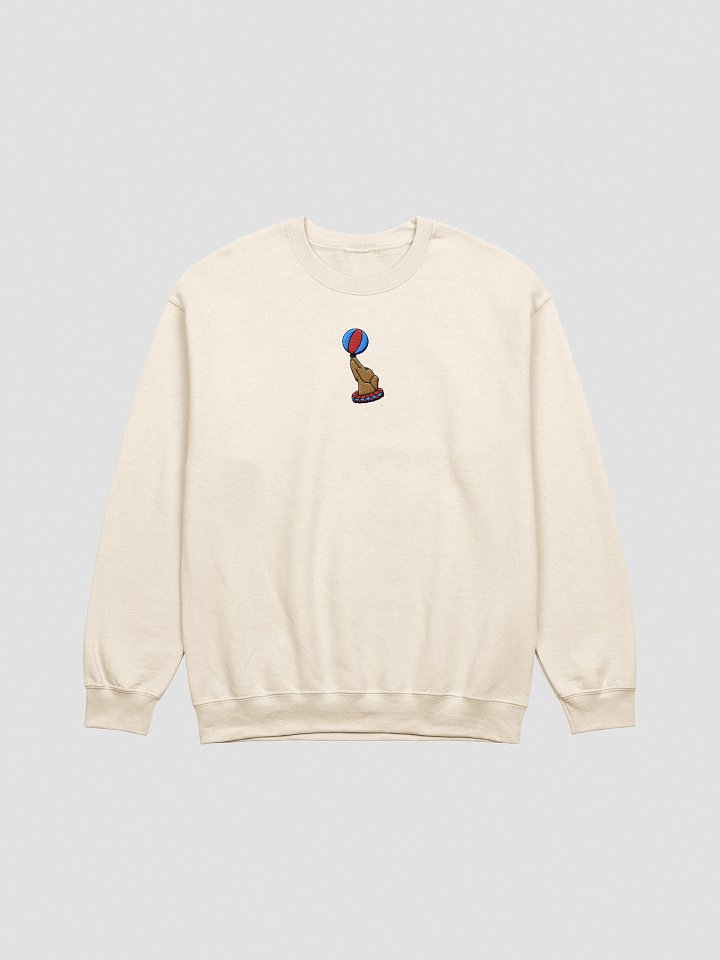 Balancing Act Sweatshirt product image (1)