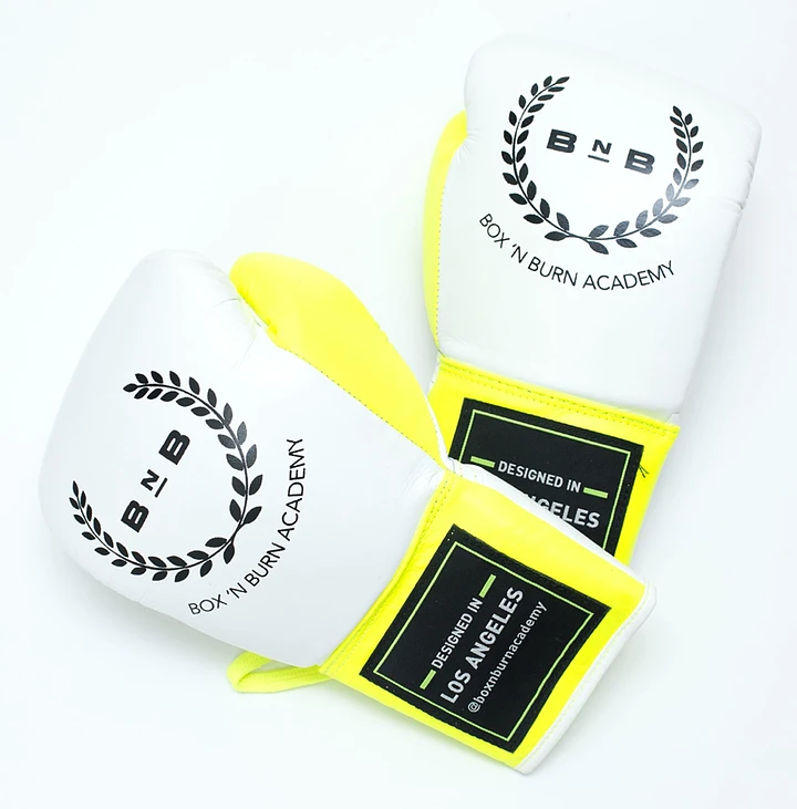 Glenn Holmes X BNBA Pro Fight Gloves product image (1)