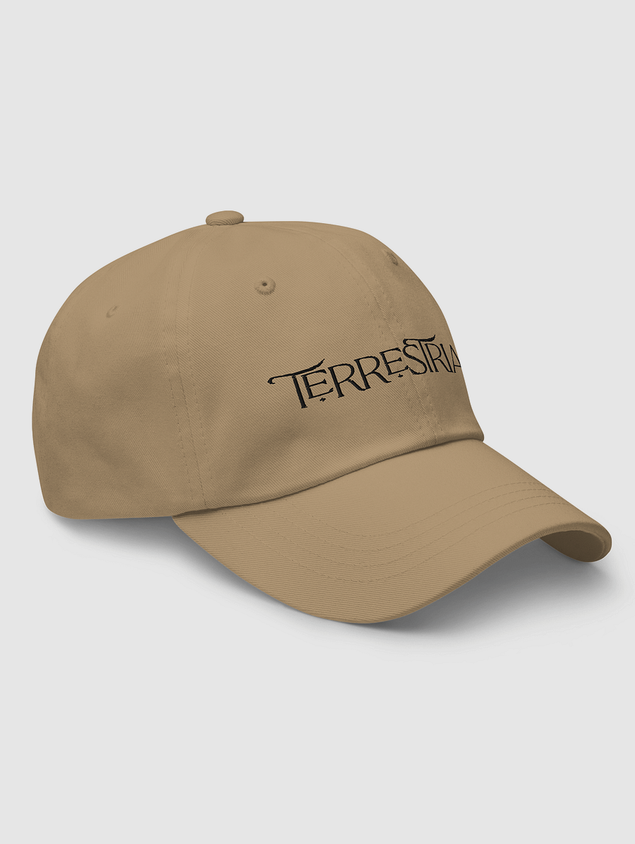Terrestrial Logo Hat product image (3)