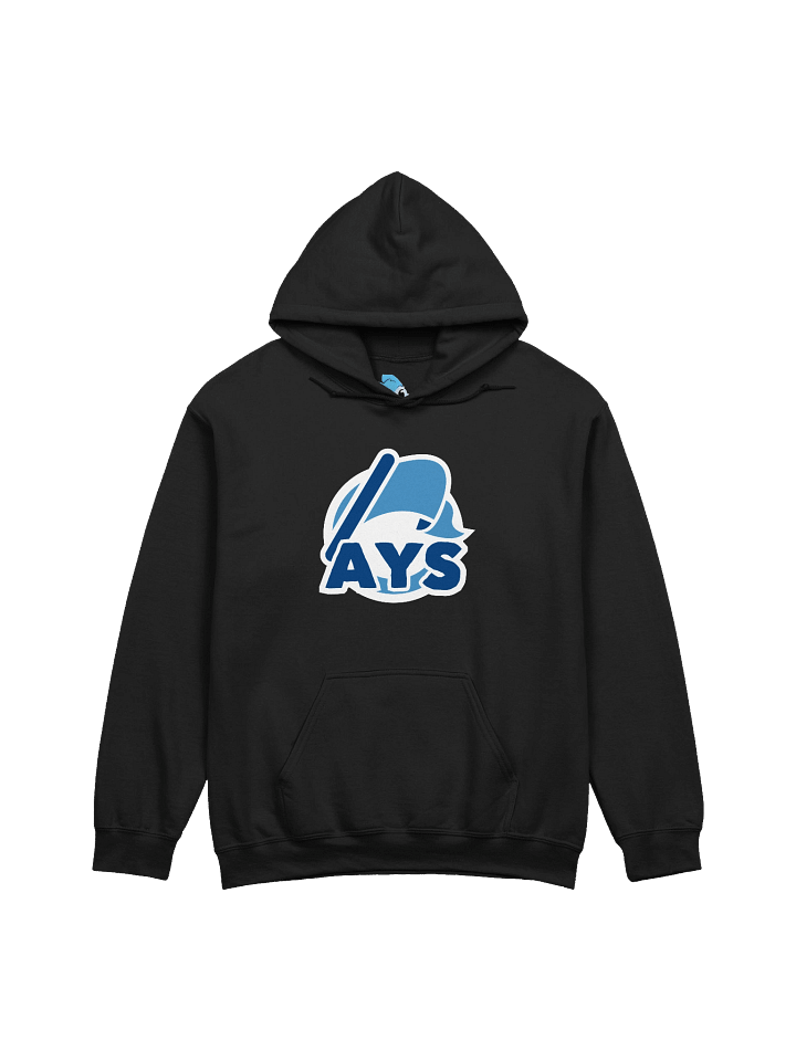 Advertise Your Server Hoodie product image (1)