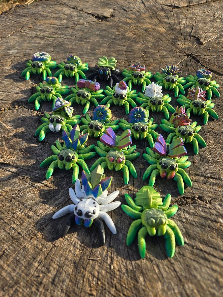 Adopt a Spider! product image (12)