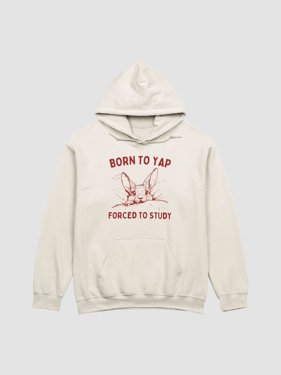 Born to yap forced to study Hoodie product image (1)