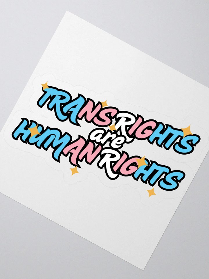TRANS RIGHTS ARE HUMAN RIGHTS Sticker product image (6)