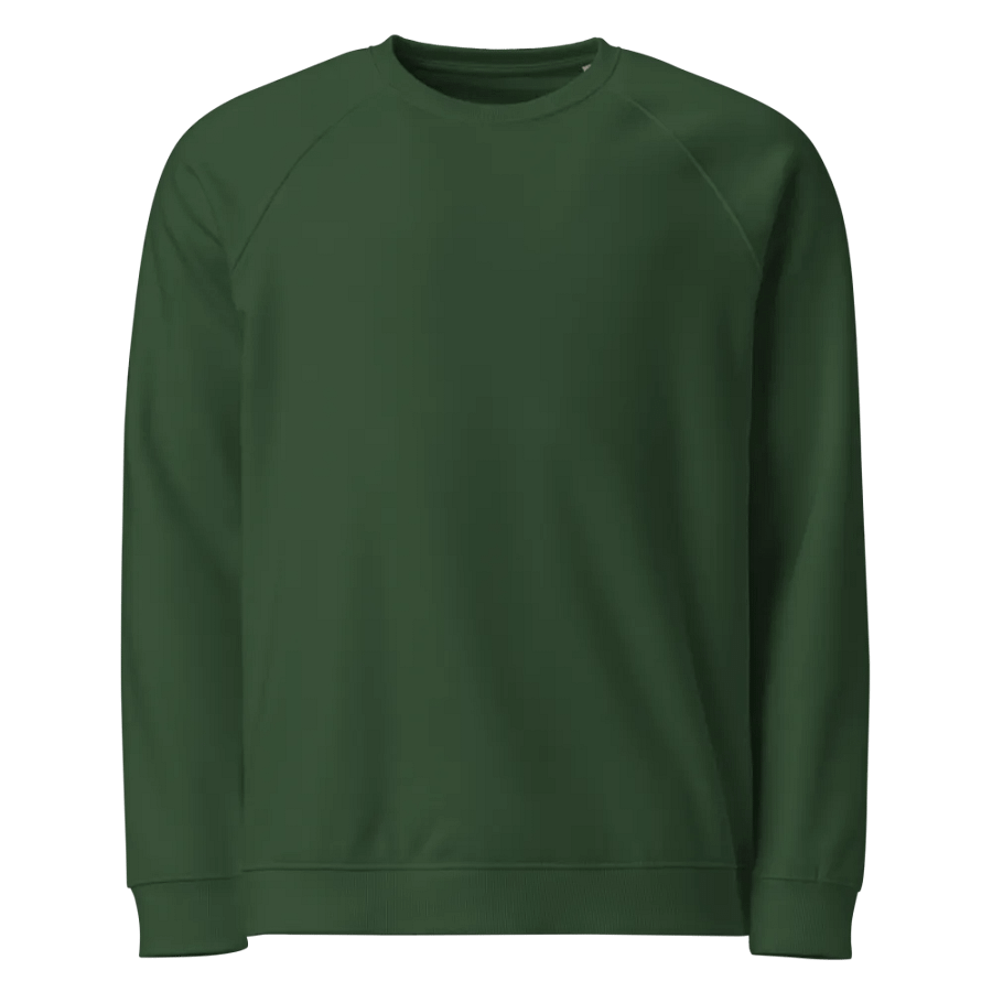 Plain Color Bottle Green Raglan Sweatshirt product image (5)