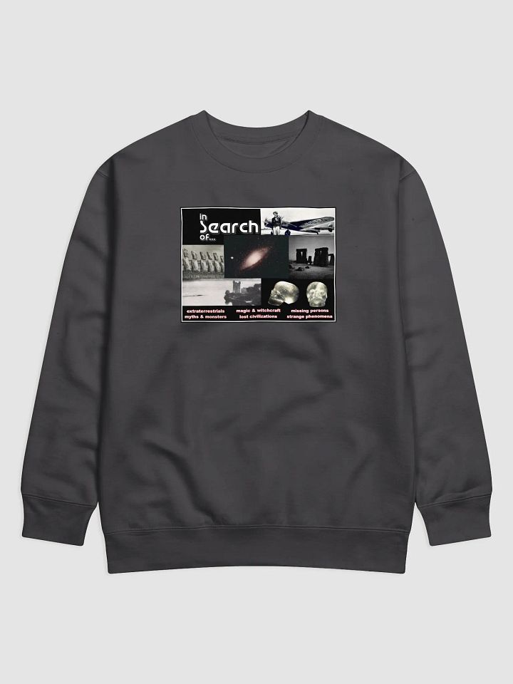 In Search of...Sweatshirt product image (1)