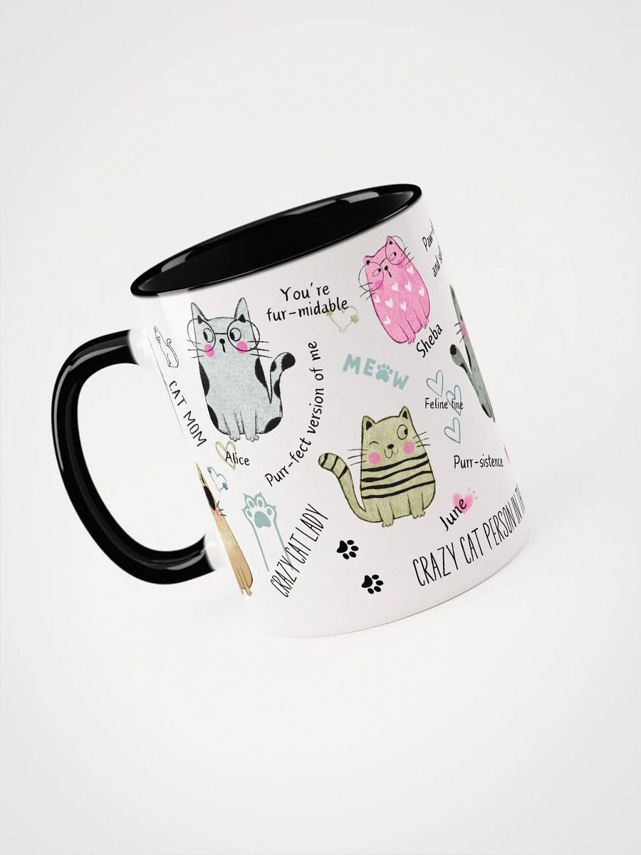 Hand-drawn ceramic cat coffee duo-tone mug with motivational quotes for a crazy cat lady product image (4)