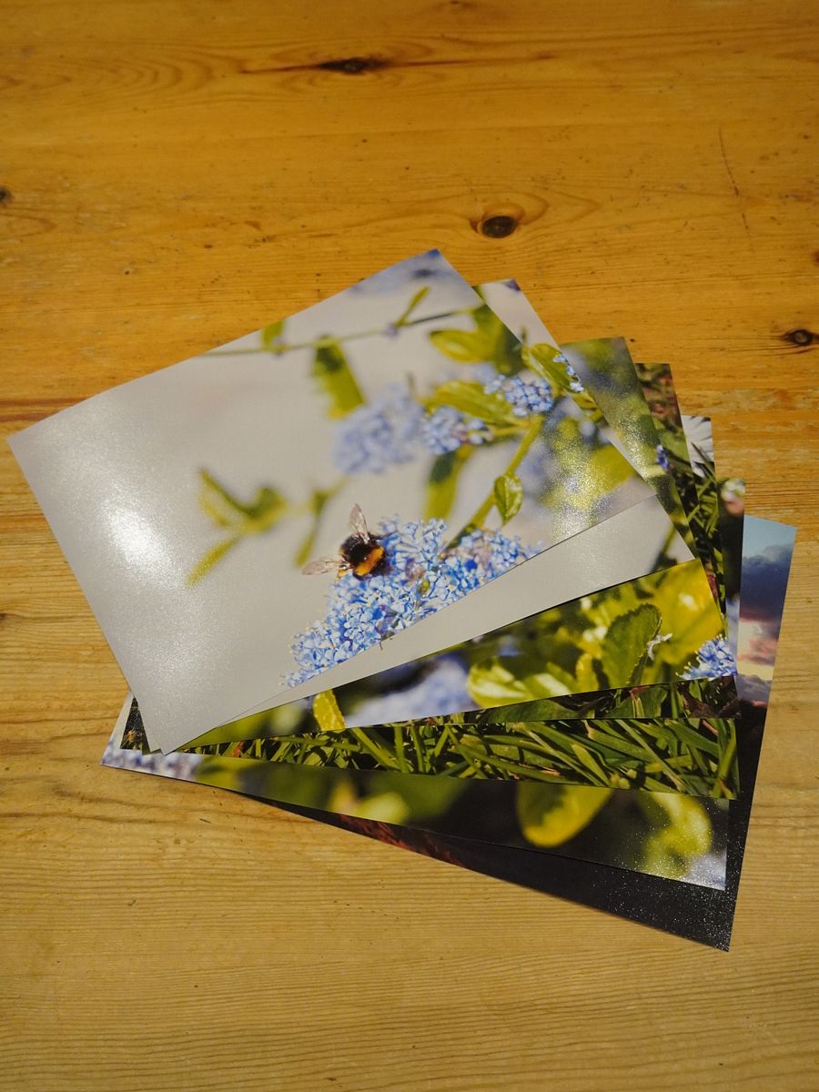 Ephemeral Harmony product image (3)