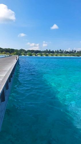 Paradise exists ☀️🌴

#paradise #paradise🌴 #traveltoparadise #paradise_of_travel #paradisefound #paradisebeach #jawakaraisland...