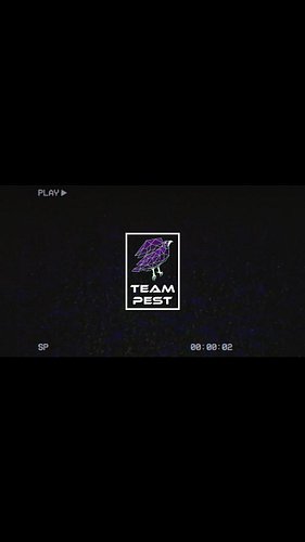 THE BIRD'S NEST II - JUNE 20TH