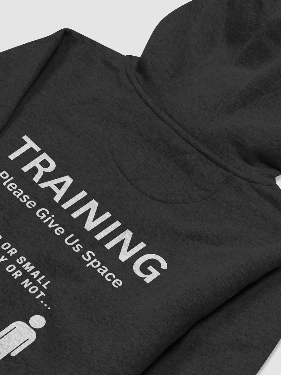 Adventure Together Hoodie (Training +6ft) product image (4)